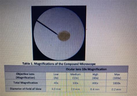 Image result for Compound Microscope Magnification Levels