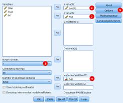Image result for Moderation SPSS Process Method