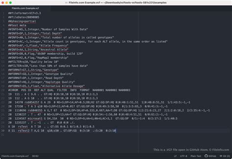 VCF Format Explained 的图像结果