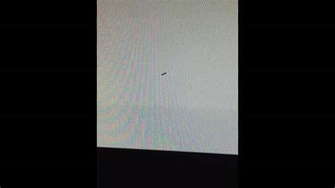 Mouse Crawling around On Screen 的图像结果