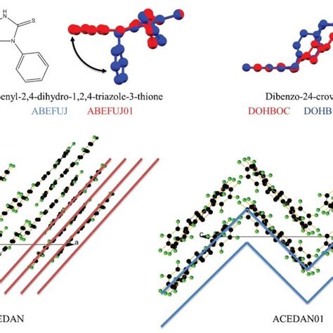 Image result for Conformational Polymorphism