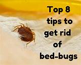 Top 8 tips to get rid of bed bugs permanently