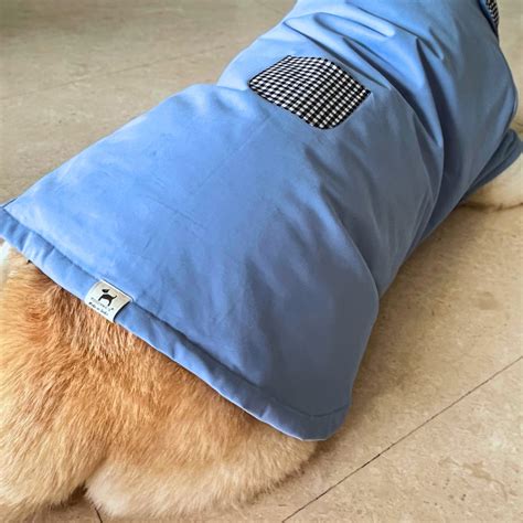 Buy Winter Jackets for dogs Online | Dog winter coat | PoochMate