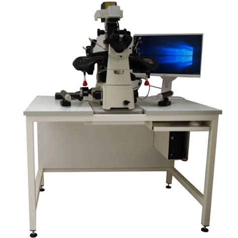 Anti Vibration Table | IVF/Media | Spark Scientific Pvt Ltd