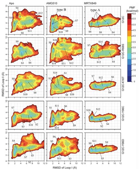 In Silico Study of the Acquired Resistance Caused by the Secondary ...