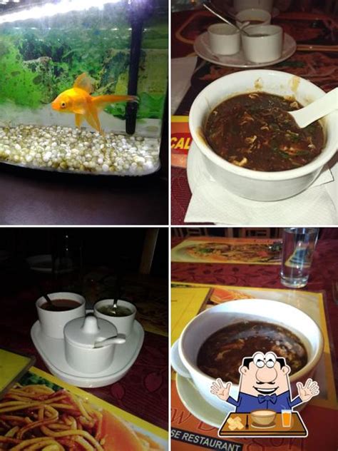 New Dragon Restaurant restaurants in Kochi, Kerala, summer 2024 ...