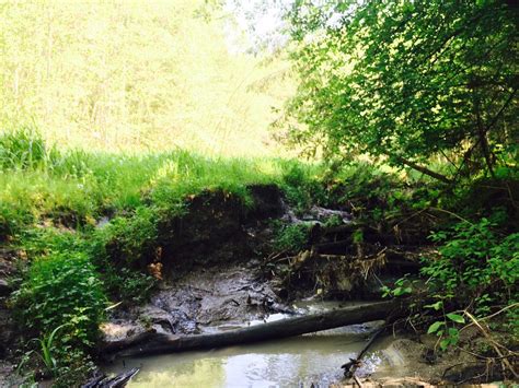 AVLYST. Naturen som genbank og livsforsikring. Ravinevandring fra Veset ...