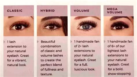 Image result for Eye Lashes Extension Types