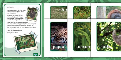 Cheeky Chimp Jungle Animals Letter and Resource Pack
