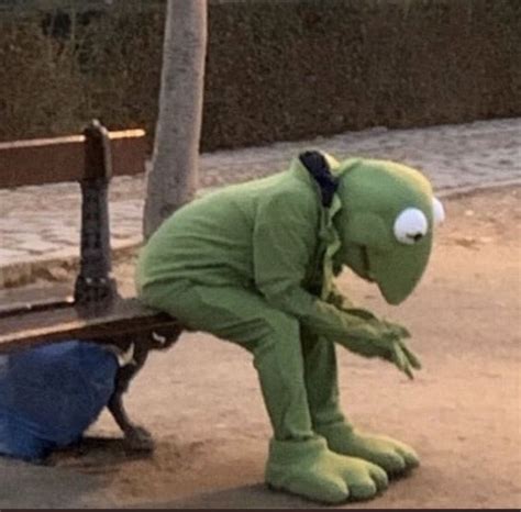 Image result for X Reader