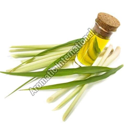 Essential Oil Manufacturer, Exporter & Supplier from Ahmedabad India