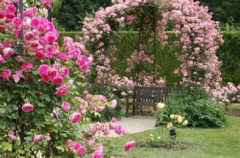 Small Cottage Gardens 的图像结果