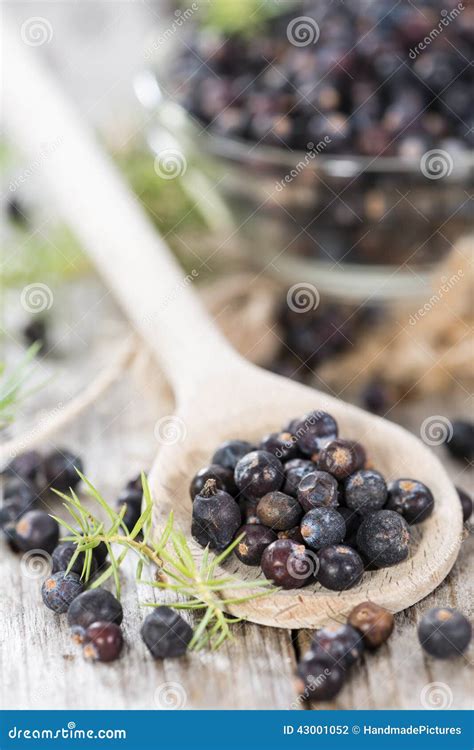 Portion of Dried Juniper Berries Stock Photo - Image of ingredient ...