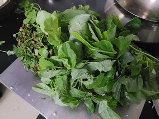 10 Powerful Health Benefits of Siru Keerai (Tender Amaranth Greens)