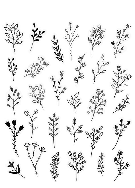 simple flower drawing black and white