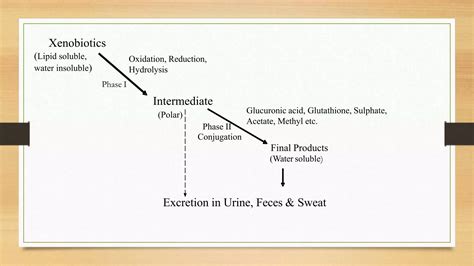 Xenobiotic metabolism | PPTX