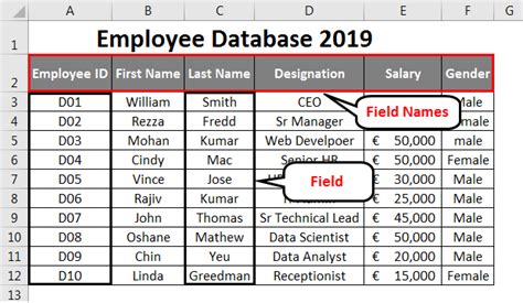 Image result for Using Microsoft Excel to Create Database