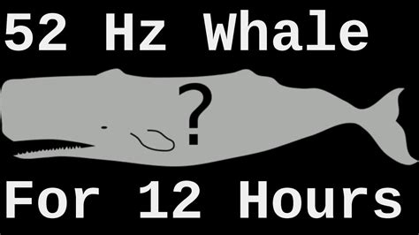 52 hz Whale Song Actual Speed ( World
