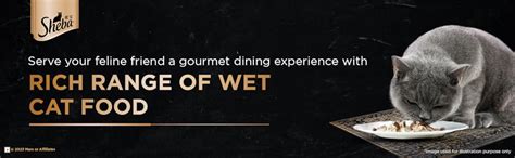 Buy Sheba Chicken Premium Loaf Fine Wet Food for Cat, 1.68 kg (70gm x ...