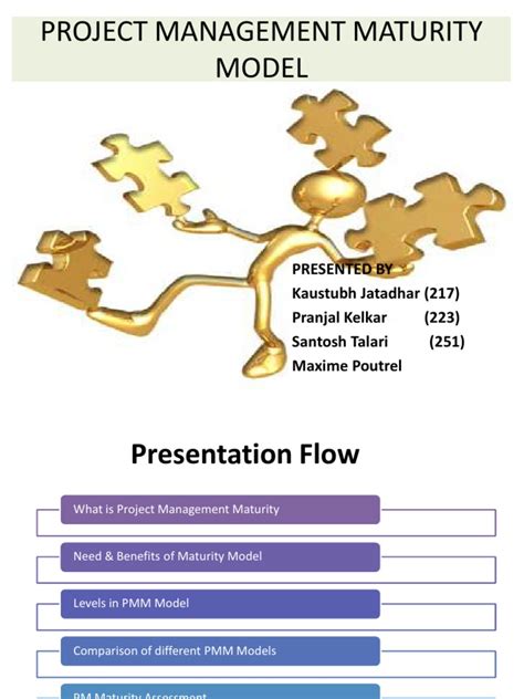 Image result for Project Management Maturity Road Map