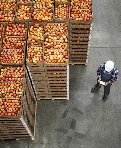 Image result for Markert Development