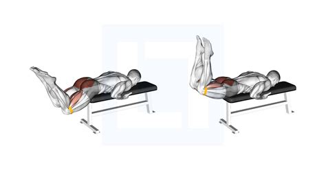 Image result for Contralateral Leg Raise