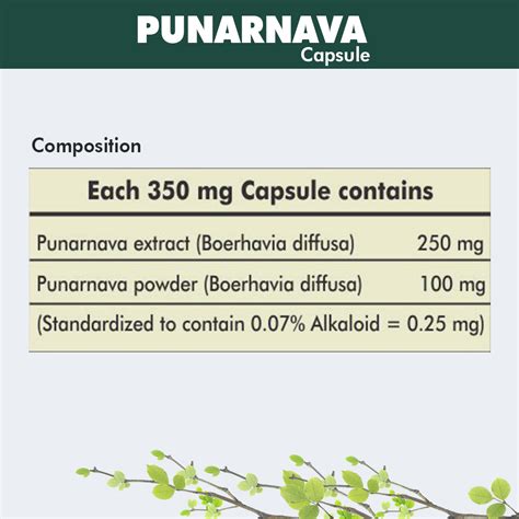 Buy Punarnava Capsule For Urine Flow & Kidney Health – Herbal Hills ...