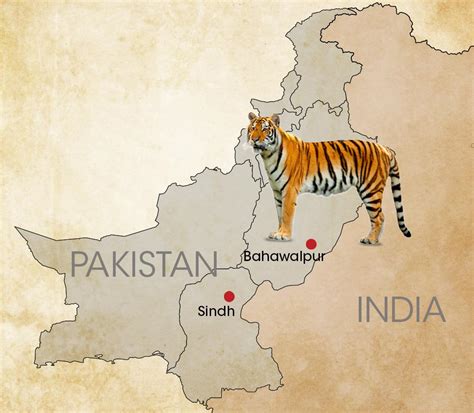 DTE Coverage: International Tiger Day 2023