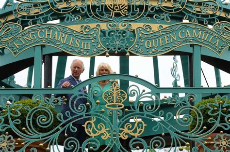 Gardening expert Diarmuid Gavin visits south Belfast alley which has ...