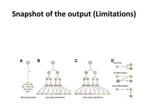 Image result for Cellular Barcoding Images