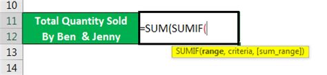Image result for Sumif Range Example