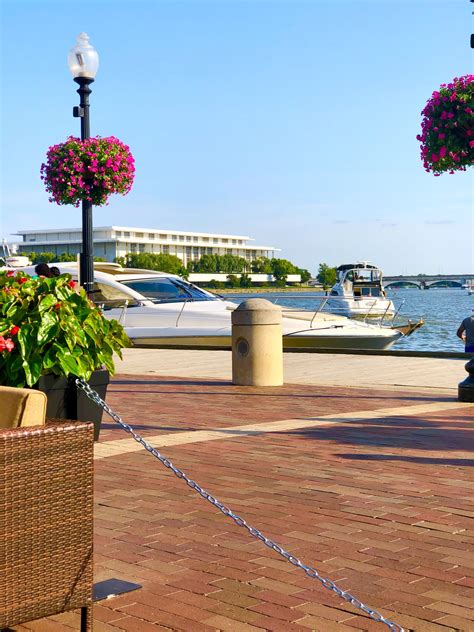 Georgetown 的图像结果