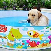 Buy Intex Inflatable Snapset Pool Online at Low Prices in India - Amazon.in
