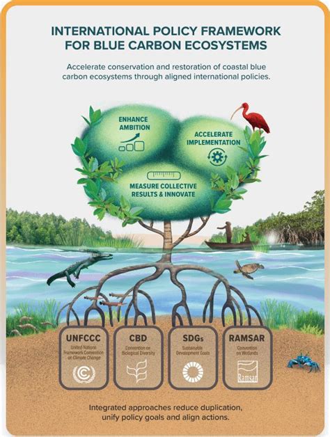 Protection of Ecosystem 的图像结果