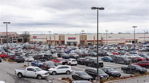 10 most expensive trees in the world