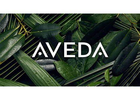 Cass & Company Salon | Avon, IN 46123