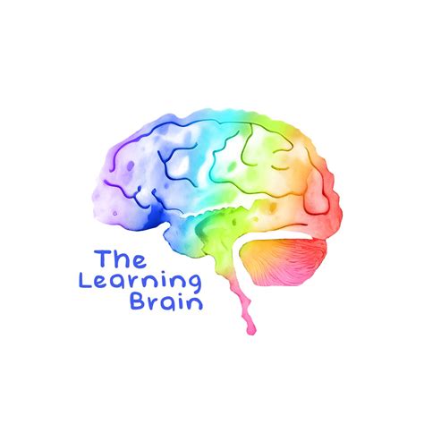 Learning Brain Picture 的图像结果