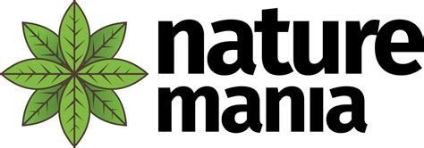 Nature Mania - The Best Health Ayurveda store – NatureMania
