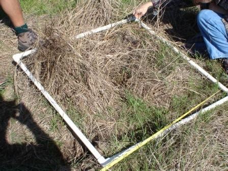 Image result for Sampling Methods in Biology