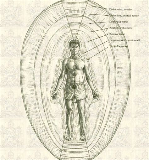 Human Energy Field Types 的图像结果