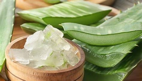 10 Home Remedies You Can Try To Treat Pain Due To Dry Socket ...