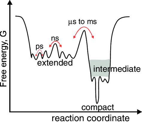 Protein Evolution Landscape 的图像结果