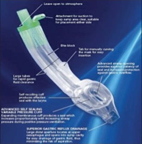 Image result for Patient Bad Example