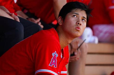 Image result for Spring Training 2018