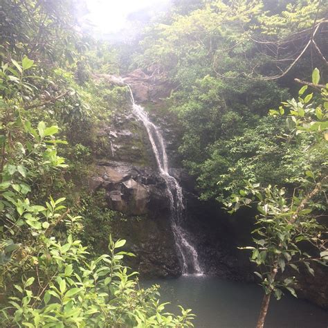 WAIMANO RIDGE TRAIL (2026) All You Need to Know BEFORE You Go (with ...