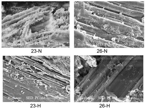 Forming and Degradation Mechanism of Bowl Seedling Tray Based on Straw ...