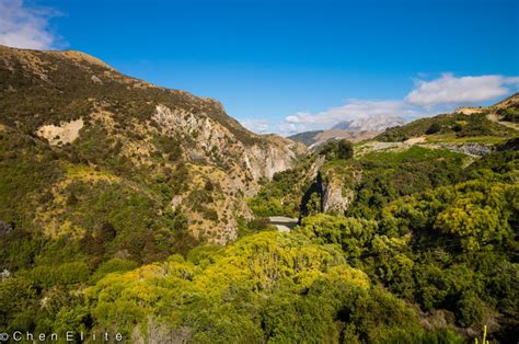 Image result for Springfield NZ