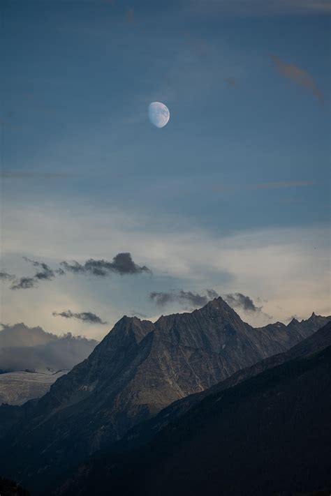 Pixabay Free High Resolution 的图像结果