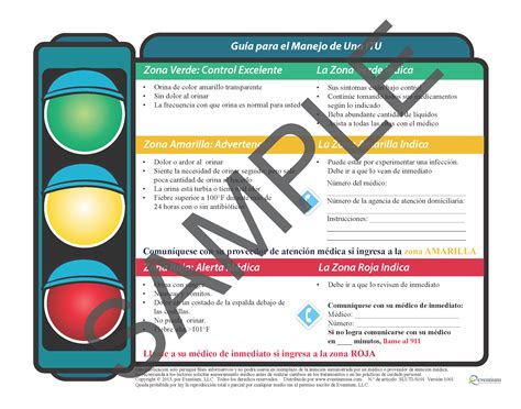 Urinary Tract In Spanish at Darlene Gilbert blog