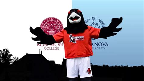 Difference Between Graduate Certificate and Master's Degree - Rosemont ...